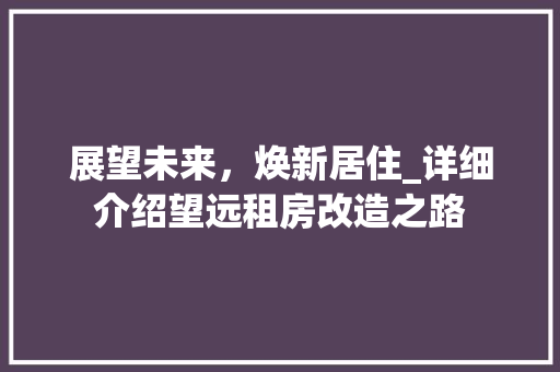 展望未来，焕新居住_详细介绍望远租房改造之路