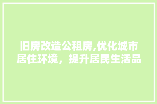 旧房改造公租房,优化城市居住环境，提升居民生活品质