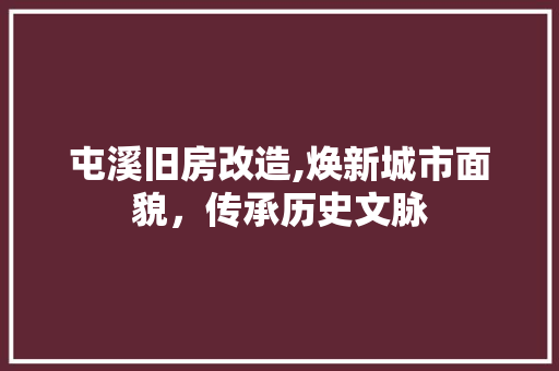 屯溪旧房改造,焕新城市面貌，传承历史文脉