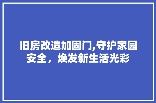 旧房改造加固门,守护家园安全，焕发新生活光彩