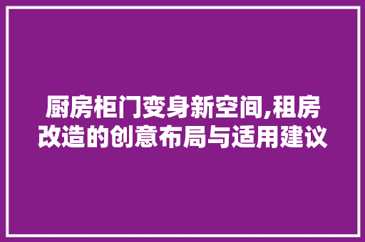 厨房柜门变身新空间,租房改造的创意布局与适用建议
