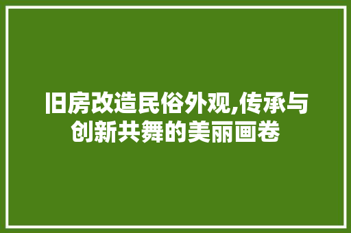 旧房改造民俗外观,传承与创新共舞的美丽画卷