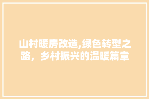 山村暖房改造,绿色转型之路，乡村振兴的温暖篇章