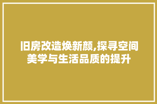 旧房改造焕新颜,探寻空间美学与生活品质的提升