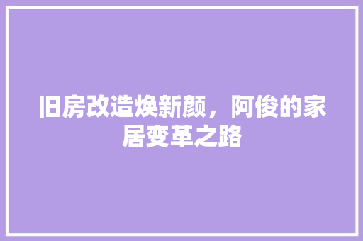 旧房改造焕新颜，阿俊的家居变革之路