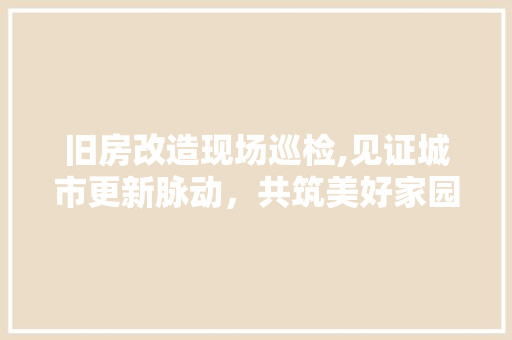 旧房改造现场巡检,见证城市更新脉动，共筑美好家园