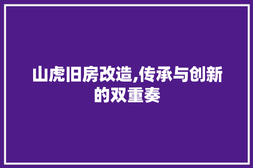 山虎旧房改造,传承与创新的双重奏