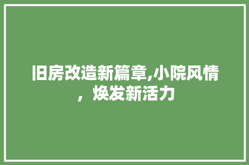 旧房改造新篇章,小院风情，焕发新活力