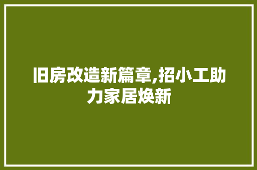旧房改造新篇章,招小工助力家居焕新