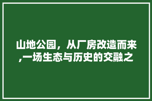 山地公园，从厂房改造而来,一场生态与历史的交融之旅