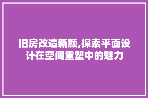 旧房改造新颜,探索平面设计在空间重塑中的魅力
