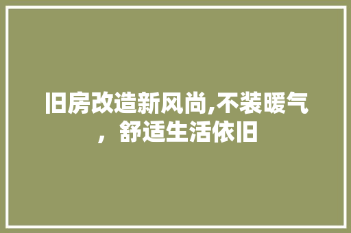 旧房改造新风尚,不装暖气，舒适生活依旧