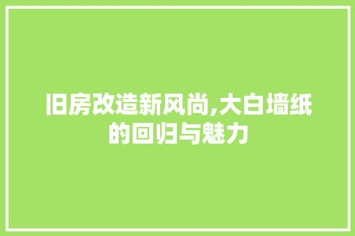 旧房改造新风尚,大白墙纸的回归与魅力