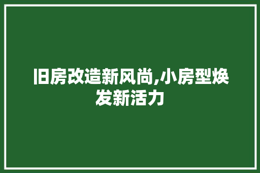 旧房改造新风尚,小房型焕发新活力