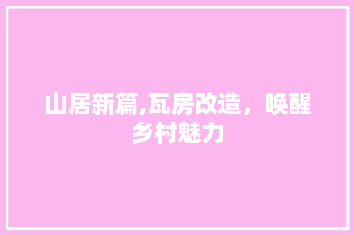 山居新篇,瓦房改造，唤醒乡村魅力