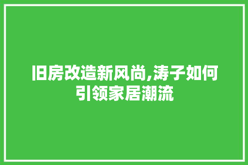 旧房改造新风尚,涛子如何引领家居潮流