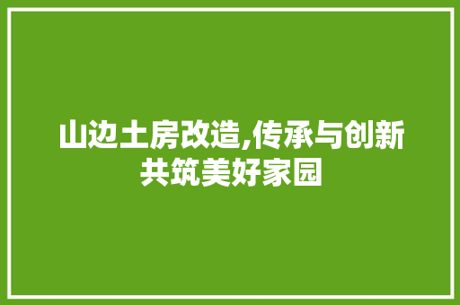 山边土房改造,传承与创新共筑美好家园