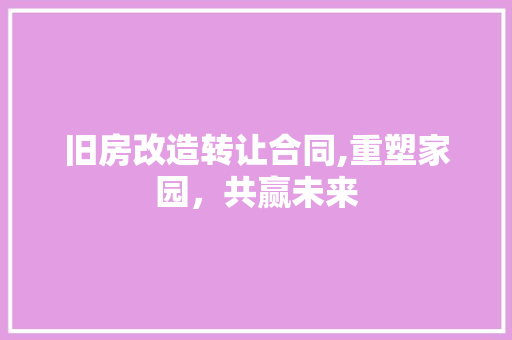 旧房改造转让合同,重塑家园，共赢未来