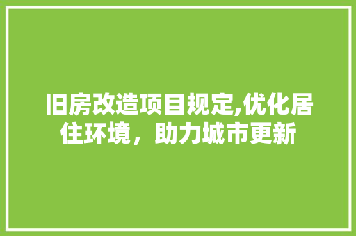 旧房改造项目规定,优化居住环境，助力城市更新