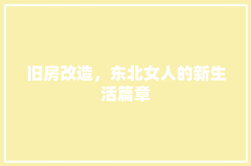 旧房改造，东北女人的新生活篇章