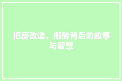 旧房改造，搬砖背后的故事与智慧