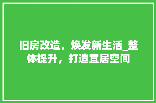 旧房改造，焕发新生活_整体提升，打造宜居空间