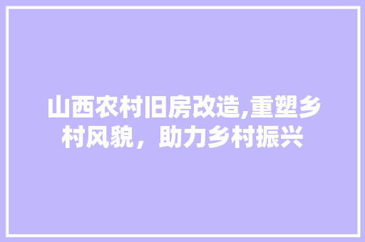 山西农村旧房改造,重塑乡村风貌，助力乡村振兴