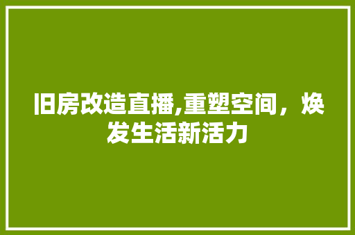 旧房改造直播,重塑空间，焕发生活新活力