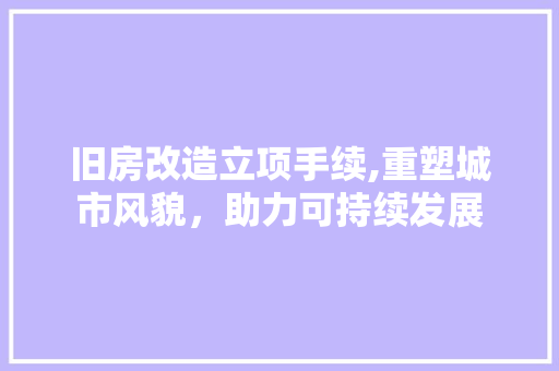 旧房改造立项手续,重塑城市风貌，助力可持续发展
