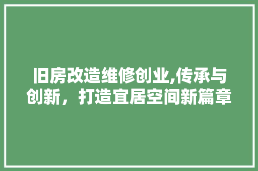 旧房改造维修创业,传承与创新，打造宜居空间新篇章