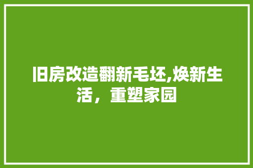 旧房改造翻新毛坯,焕新生活，重塑家园