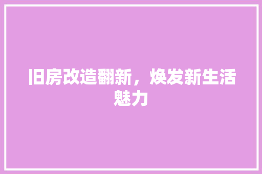 旧房改造翻新，焕发新生活魅力