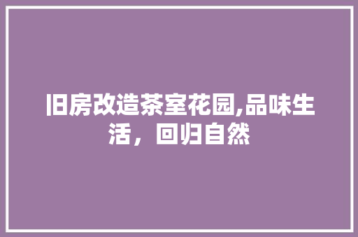 旧房改造茶室花园,品味生活，回归自然