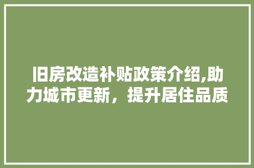 旧房改造补贴政策介绍,助力城市更新，提升居住品质