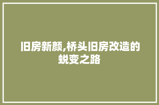 旧房新颜,桥头旧房改造的蜕变之路