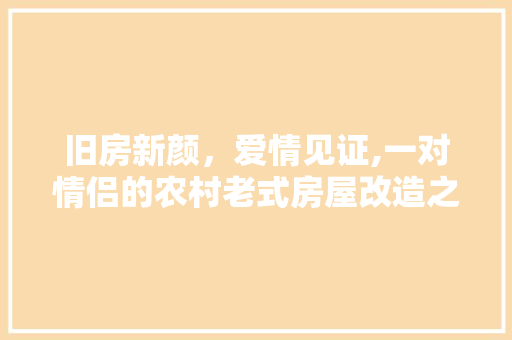 旧房新颜，爱情见证,一对情侣的农村老式房屋改造之旅