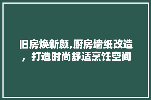 旧房焕新颜,厨房墙纸改造，打造时尚舒适烹饪空间