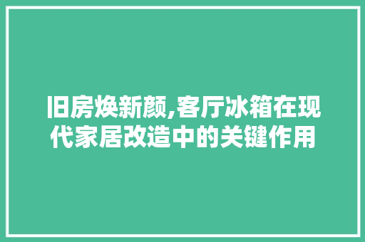 旧房焕新颜,客厅冰箱在现代家居改造中的关键作用