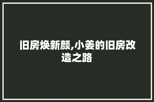 旧房焕新颜,小姜的旧房改造之路