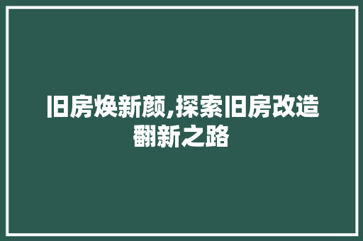 旧房焕新颜,探索旧房改造翻新之路