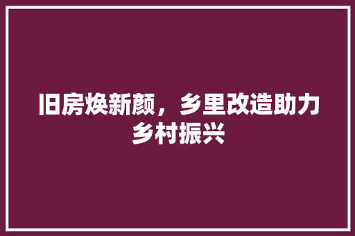 旧房焕新颜，乡里改造助力乡村振兴