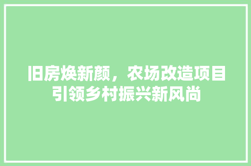 旧房焕新颜，农场改造项目引领乡村振兴新风尚