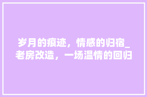 岁月的痕迹，情感的归宿_老房改造，一场温情的回归之旅