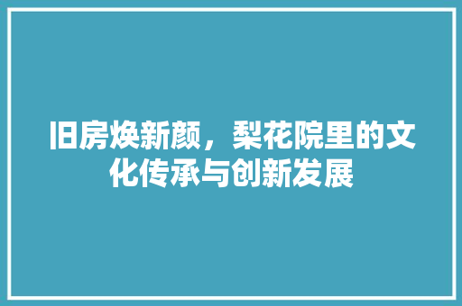 旧房焕新颜，梨花院里的文化传承与创新发展