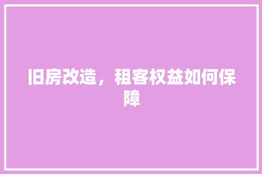 旧房改造，租客权益如何保障