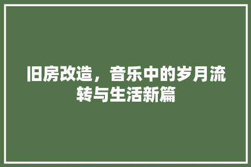 旧房改造，音乐中的岁月流转与生活新篇