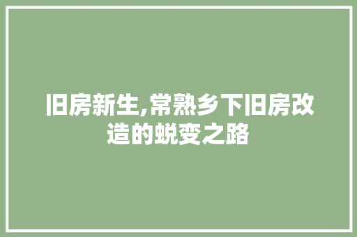 旧房新生,常熟乡下旧房改造的蜕变之路