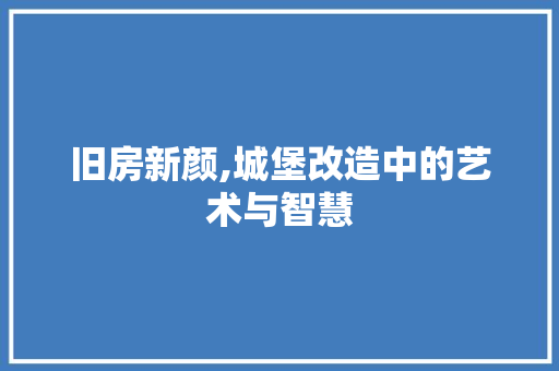 旧房新颜,城堡改造中的艺术与智慧