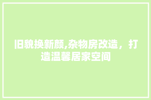 旧貌换新颜,杂物房改造，打造温馨居家空间