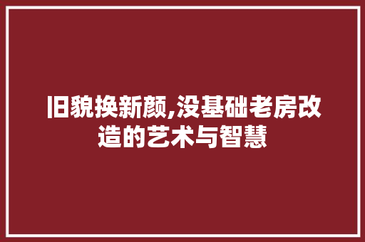 旧貌换新颜,没基础老房改造的艺术与智慧